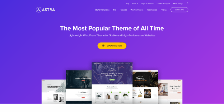 Imagen De Astra Theme En Baratillo WP WordPress