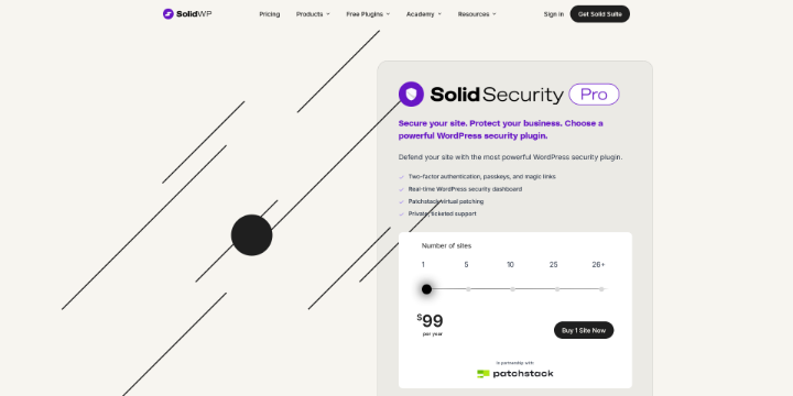 Imagen De Solid Security Pro En Baratillo WP WordPress