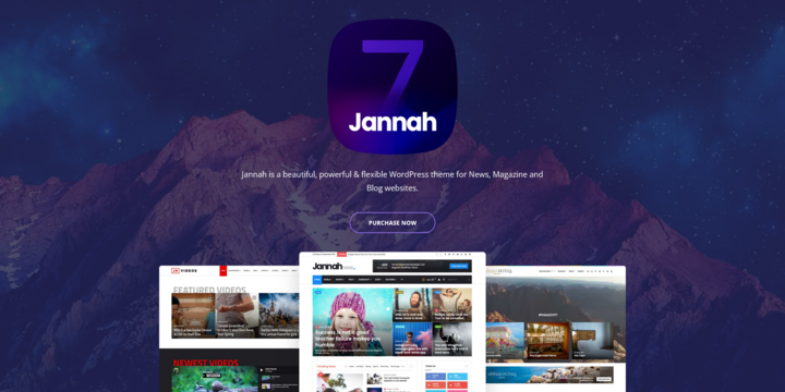Imagen De Jannah News En Baratillo WP WordPress